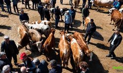 Kurban Pazarında Silahlar Konuştu: 3 Kişi Yaralandı