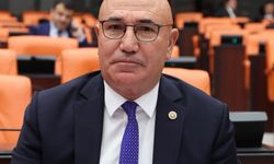 Mahmut Tanal Kimdir? Nerenin Milletvekili?