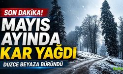 Mayıs Ayında Kar Yağdı, Düzce Beyaza Büründü