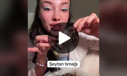 Şeytan Tırnağı Yemeği Nedir? TikTok Yemeği Nasıl Yapılır?