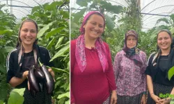 Sıcakta Durmadan Üreten Üç Kuşak Kadının Seradaki Yaşam Mücadelesi