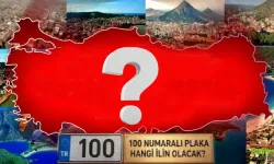 25 Yeni Şehir İddiası Gündemde: 100 Numaralı Plaka Kimin Olacak?