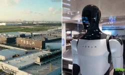 Tesla Türkiye Faaliyet Alanını Genişletti: İnsansı Robot, Güneş Enerjisi Ve Taksi Hizmeti Geliyor