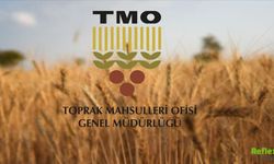 TMO Fiyat Listesi 2026 Nohut ve Fındık Ne Kadar?