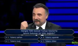 Yalancı Ispanak TDK Var mı? Anlamı Nedir?