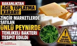 Bakanlıktan Acil Toplatma Kararı! Zincir Marketlerde Satılan Ünlü Peynirde Tehlikeli Bakteri Tespit Edildi