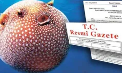 Balon Balığı Avcılığı Desteği Artırıldı: Resmi Gazete'de Yeni Karar Yayımlandı