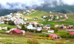 Çambaşı Yaylası'nda Festival Coşkusu Başlıyor! AYNA Ordu'da Sahne Alacak