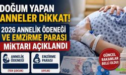 Doğum Yapan Anneler Dikkat! 2026 Annelik Ödeneği ve Emzirme Parası Miktarı Açıklandı