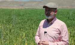 Kayseri'de Bereketli Topraklar Kazandırıyor! Ürünler Sofralara Ulaşıyor