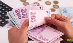 Mali Müşavirler Ve Mükellefler Dikkat: GİB’den Kritik Uyarı