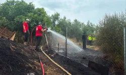 Mudanya'da Çıkan Yangın Ormanlık Alana Ulaşmadan Söndürüldü