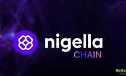 Nigella Coin Yorumları ve Geleceği 2026