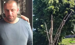 Rize'de Feci Olay! Ağaçta Elektrik Akımına Kapılan Adam Yaşamını Yitirdi