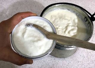 Dört yoğurt markasında tahşiş tespit edildi