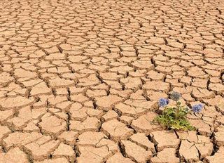 2025 kayıtlara geçen en sıcak üçüncü yıl oldu