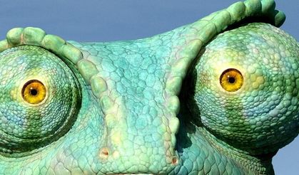 Influencer Marketing Nedir?