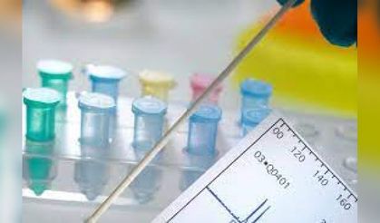 Kıbrıs Tüp Bebek Tedavisinde Hangi Süreçler Ön Plana Çıkıyor?