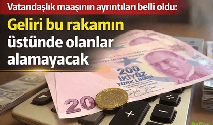 Gelir Tamamlayıcı Aile Destek Programı İçin Gelir Şartı Netleşti: Başvurular e-Devlet Üzerinden