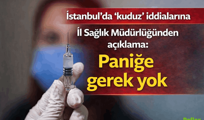 İstanbul’da Kuduz Vakaları İddiasına Resmi Açıklama Son Vaka 2007’de