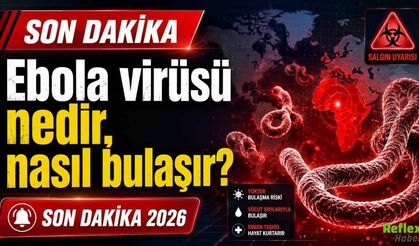 Ebola virüsü nedir, nasıl bulaşır? Son Dakika 2026 Salgın Detayları
