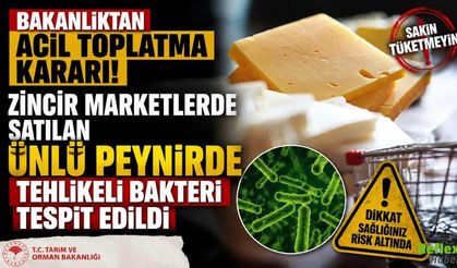 Bakanlıktan Acil Toplatma Kararı! Zincir Marketlerde Satılan Ünlü Peynirde Tehlikeli Bakteri Tespit Edildi