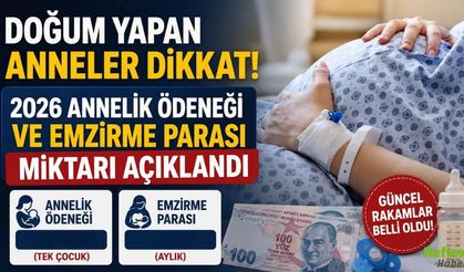 Doğum Yapan Anneler Dikkat! 2026 Annelik Ödeneği ve Emzirme Parası Miktarı Açıklandı
