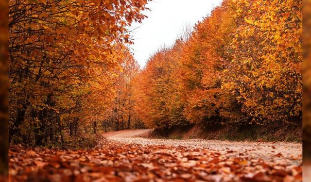 Sonbahar Eş Anlamlıları ve Kullanımları