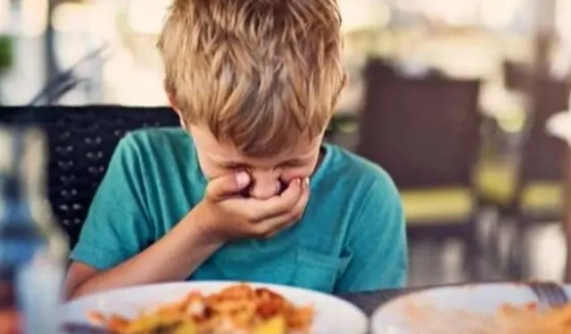 Bakanlıklar, gıda zehirlenmelerine karşı alınacak önlemleri hatırlattı