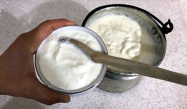 Dört yoğurt markasında tahşiş tespit edildi