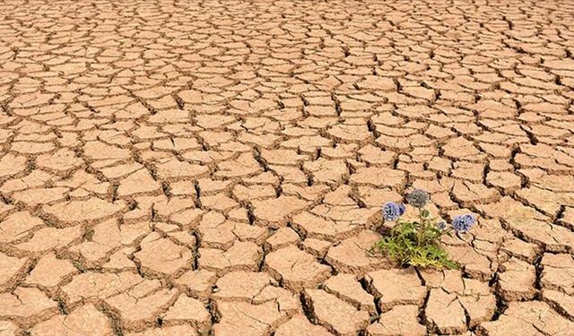 2025 kayıtlara geçen en sıcak üçüncü yıl oldu