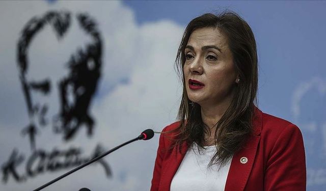 CHP'li İlgezdi, radyoloji hizmetlerinde yaşananları gündeme taşıdı: 'Sağlık piyasaya teslim edilmiştir'