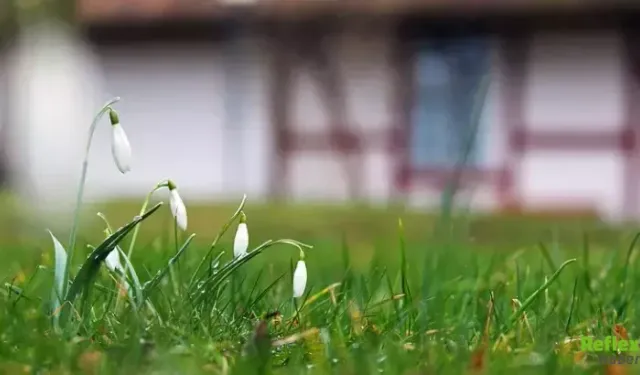 Cemre Ne Zaman Düşecek? 2026 Cemre Tarihleri