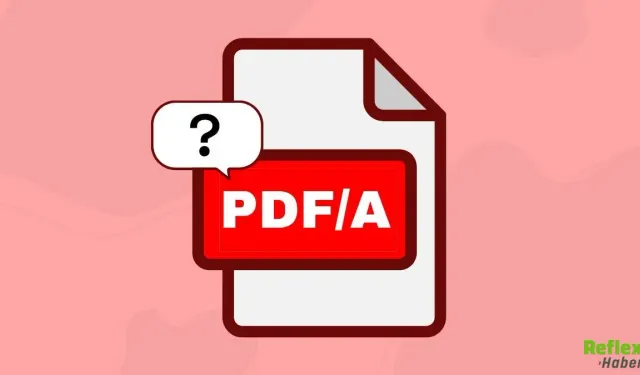 Lgs Soruları Ve Cevapları 2026 PDF Oku Ve İndir