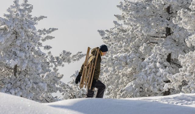 ABD'de Çekirdek PCE Enflasyonu ve Kişisel Harcamalar Beklentileri Karşıladı