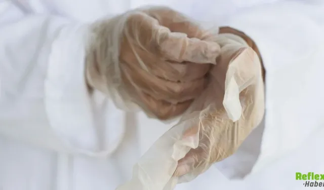 Algoloji Nedir? Algoloji Hangi Hastalıklarla İlgilenir?