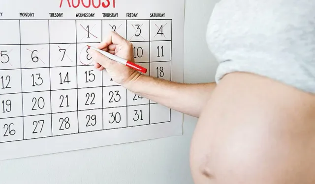 Gebelik Hesaplama Nasıl Yapılır? Gebelik Haftası Nasıl Belirlenir?