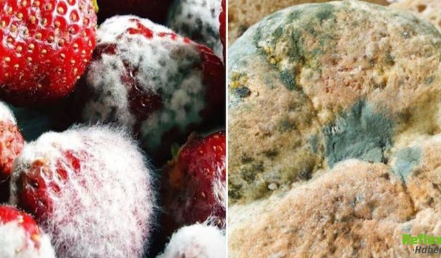 Küflü Besinleri Tüketirsek Ne Olur? Gerçekten Zararlı Mı?