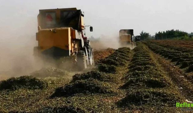 Mazot Ve Gübre Desteğinde Belirsizlik Çiftçi Ödeme Tarihine Kilitlendi