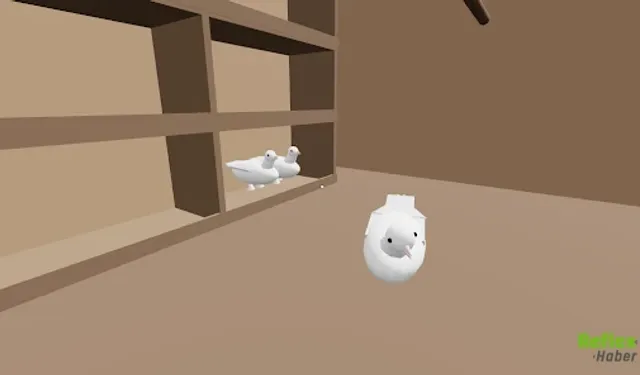 Güvercin Kümesi 3D APK İndir - 2026 Mayıs