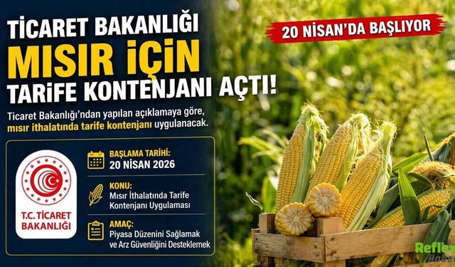 Ticaret Bakanlığı Mısır İçin Tarife Kontenjanı Açtı: 20 Nisan’da Başlıyor