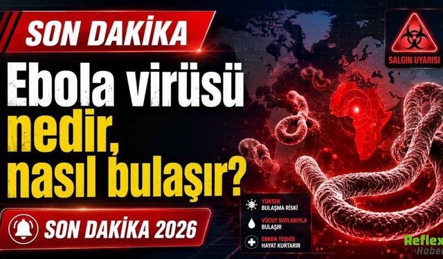 Ebola virüsü nedir, nasıl bulaşır? Son Dakika 2026 Salgın Detayları