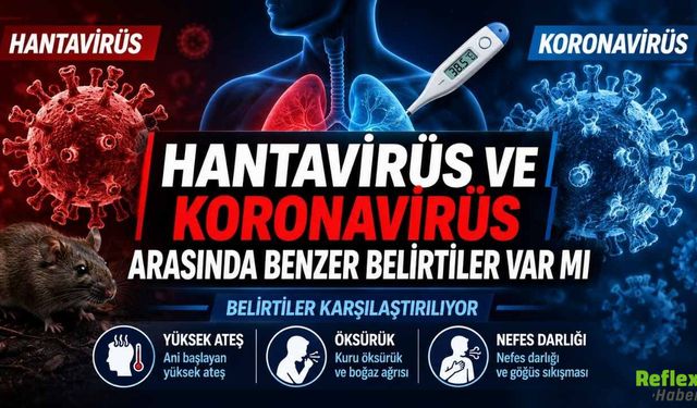 Hantavirüs ve Koranavirüs Arasında Benzer Belirtiler Var Mı?