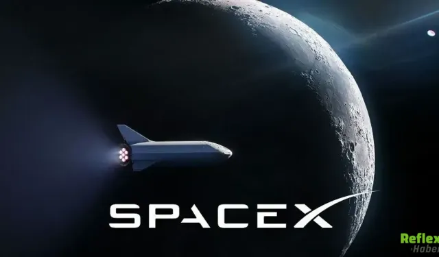 Spacex Halka Arz Nasıl Alınır? Kaç TL?