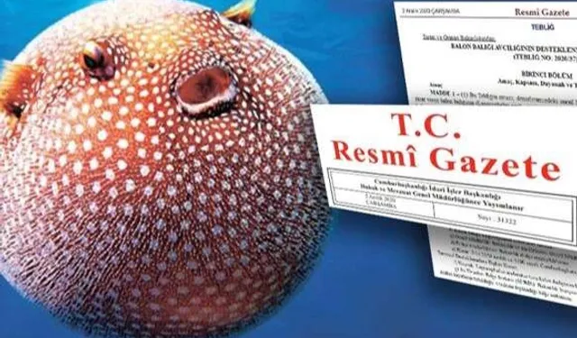 Balon Balığı Avcılığı Desteği Artırıldı: Resmi Gazete'de Yeni Karar Yayımlandı