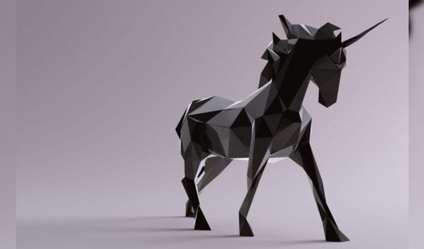 Unicorn Startup'ları: Anlamı, Tarihçesi, Örnekleri