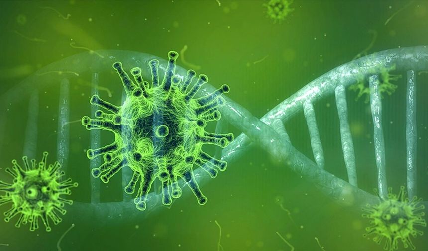 Hindistan'da ortaya çıktı: Nipah salgını nedir?