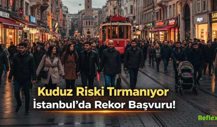 Kuduz Riski Tırmanıyor İstanbul’da Rekor Başvuru