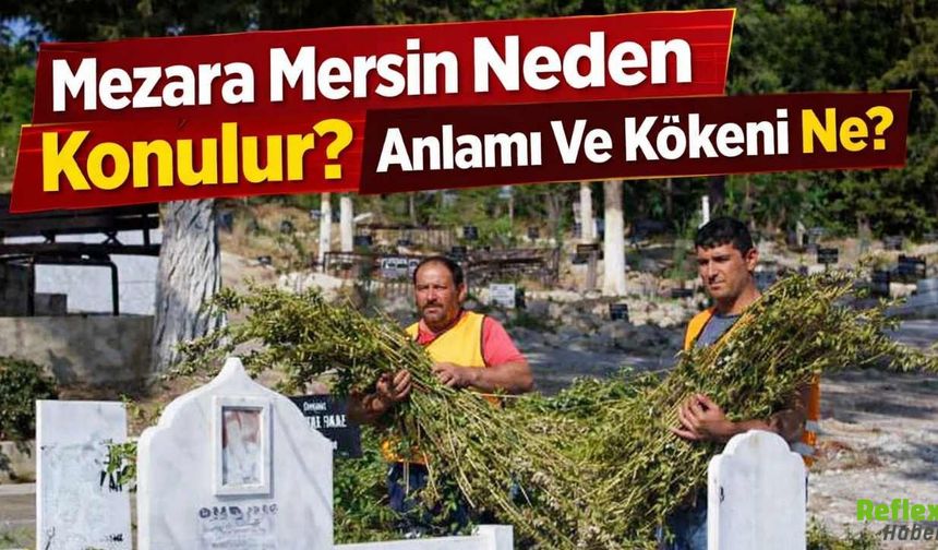 Mezara Mersin Neden Konulur? Anlamı Ve Kökeni Ne? 19 Mart 2026