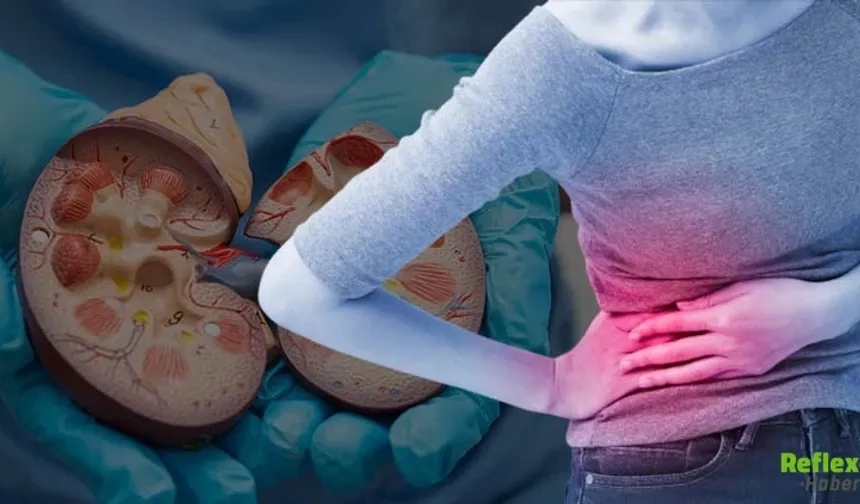 Böbrek Kanseri Sessiz İlerliyor Erken Tanı Hayat Kurtarıyor